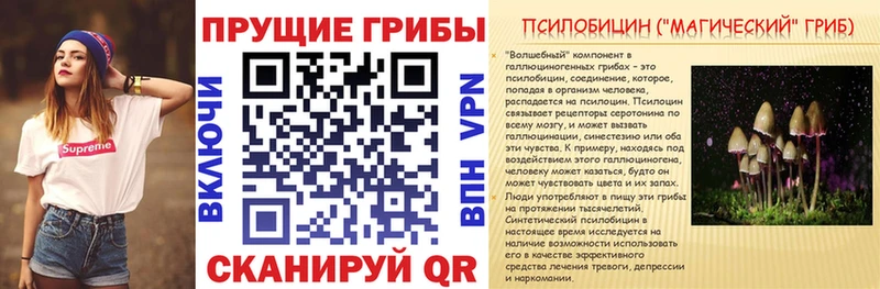 где продают Мытищи Псилоцибиновые грибы Magic Shrooms